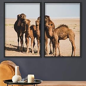 signwin 2 Piece Framed Canvas Wall Art Camels...