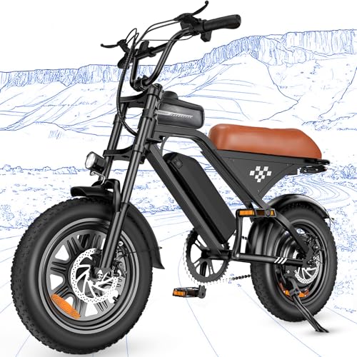 Flydone 1000W Fat Tire Dirt Ebike
