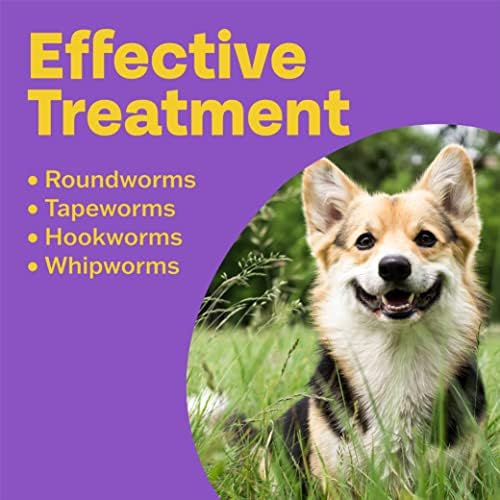 Bob Martin Clear | 3 in 1 Wormer Tablets for Small Dogs & Puppies (up to 20kg) | Clinically Proven Treatment (2 Tablets), 2 Count (Pack of 1)