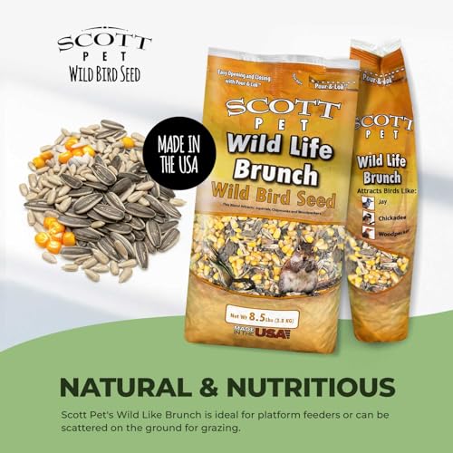 Scott Pet Wild Bird Seed, Wildlife Brunch Blend, 8.5 lbs Bag, Feed, Great for Platform Feeders, Food for Outside Wild Birds - Thumbnail 4
