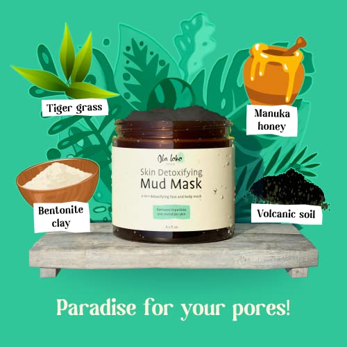 Ola Loko 𝗪𝗜𝗡𝗡𝗘𝗥 𝟮𝟬𝟮𝟯* Mud Mask, Clay Mask For Face And Skin, Detox Mask Skin Care, Exfoliating Face Mask, Deeply Cleans And Purify Pores For Clear And Glowing Skin, 8.5 Fl Oz #TOP3