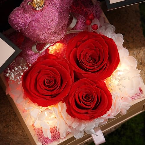 ADDWel Preserved Rose Gifts for Her- Unique Forever Preserved Real Rose with I Love You Necklace 100 Languages, Eternal Rose Gifts for Women Mom Girlfriend Wife Sister on Birthday or Anniversary - Image 4