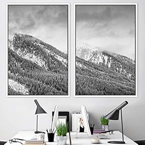 signwin 2 Piece Framed Canvas Wall Art Monochromatic...