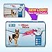 Four Paws Wee-Wee Super Absorbent Disposable Adjustable Dog Potty Training Diapers, Leak-Proof Protection for Puppies and Large Dogs, Extra Small, 12 Count