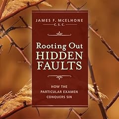 Rooting Out Hidden Faults Audiolibro Por James F. McElhone CSC arte de portada