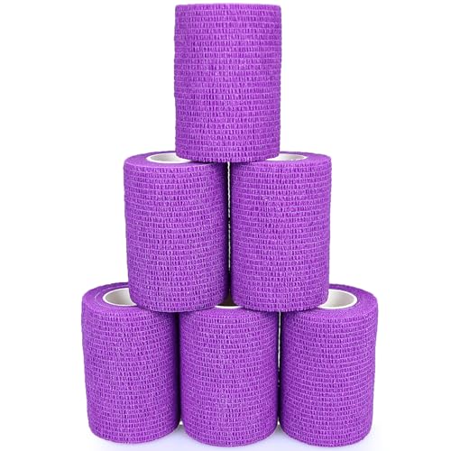 KEQCQE Lk e͕єSуe[sO oe[W ybg  LhsDz ֐߃T|[g Lk ʋC 6