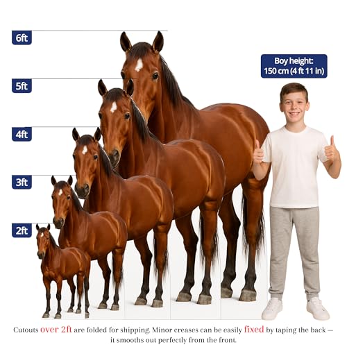 Image of Horse 3FT Life Size Cardboard Cutout - A Fun Animal Standup for Photo Booths, Birthday Parties, and Events