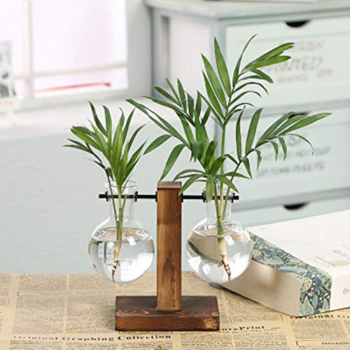 XCVB Terrarium Vasevase Decoration Home Bonsai Flower Plant Vases Vintage Flower Pot Transparent Wooden Frame Glass,ParallelDoubleBottle