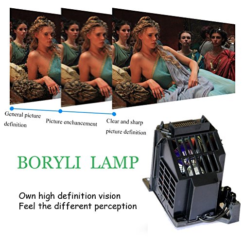 BORYLI 915B403001 Replacement Lamp Equivalent with Housing for Mitsubishi TV
