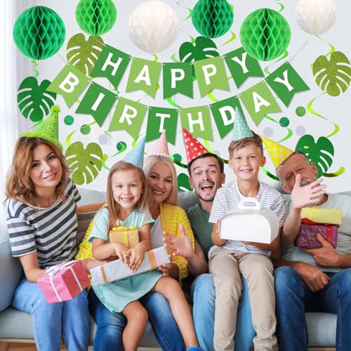 meowtastic Green Birthday Decorations - Green Happy Birthday Banner with Honeycomb Balls, Palm Leaves Hanging Swirl Streamers, Circle Dot Garland Decorations - Birthday Party Decoration for Boy Girl - Image 4