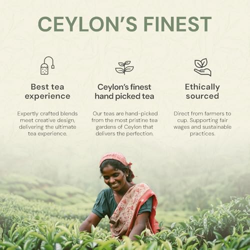 Basilur Tea Book Volume II Gold | Premium Ceylon Black Tea Loose Leaf 100g | Festive Gift Box | Elegant Book Tin | Holiday Tea Collection