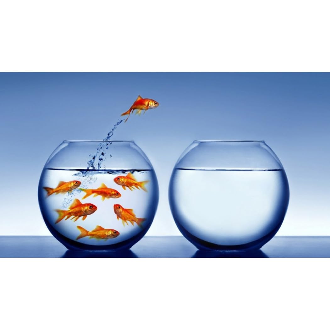 Trade Shop - Ampolla Boccia per Pesci in Vetro 30 Cm Acquario Pesce Rosso Centrotavola