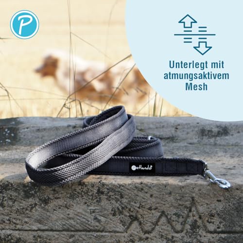 Petlando Hundeleine kleine Hunde leicht, weich mit Mesh gepolstert, robust & pflegeleicht, Führleine Schwarz 300 x 1,5 cm, 3-Fach verstellbar