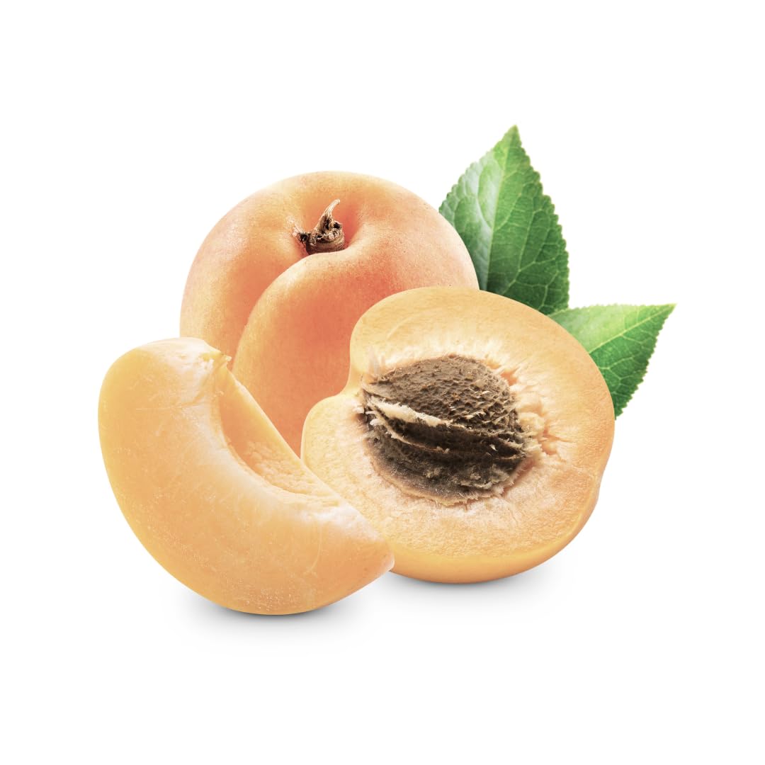 Albicocco Tardiva di Picciola Pianta da Frutto età 4 anni | Varietà tardiva Autofertile - Vaso 26 cm Altezza 180~200 cm