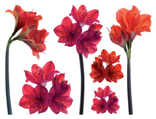 Preisvergleich Produktbild Spirit Flow Deko Blumen Wandsticker, 6 Stück