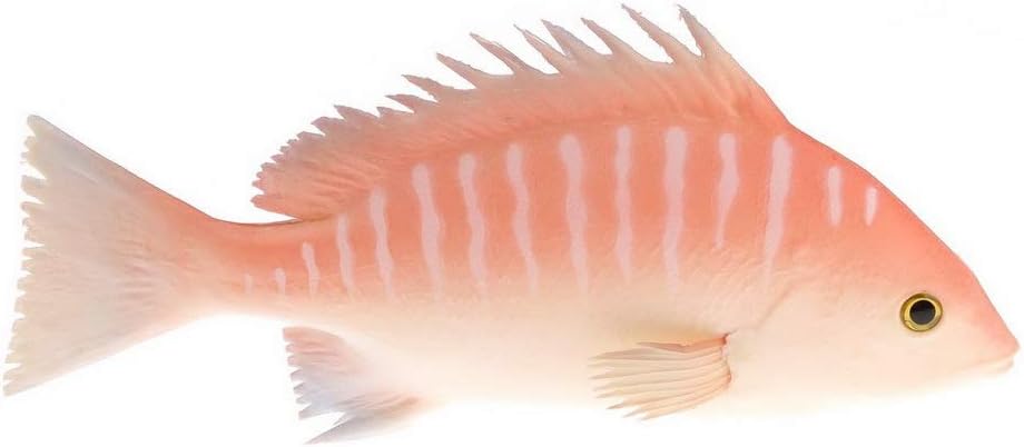 Gresorth 9.5 inch Artificial Red Snapper Fake Fish Decoration for Home Party Christmas Halloween Display