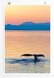 Sinus Art Kunst und Deko Poster - Landschaftsfotografie – 
