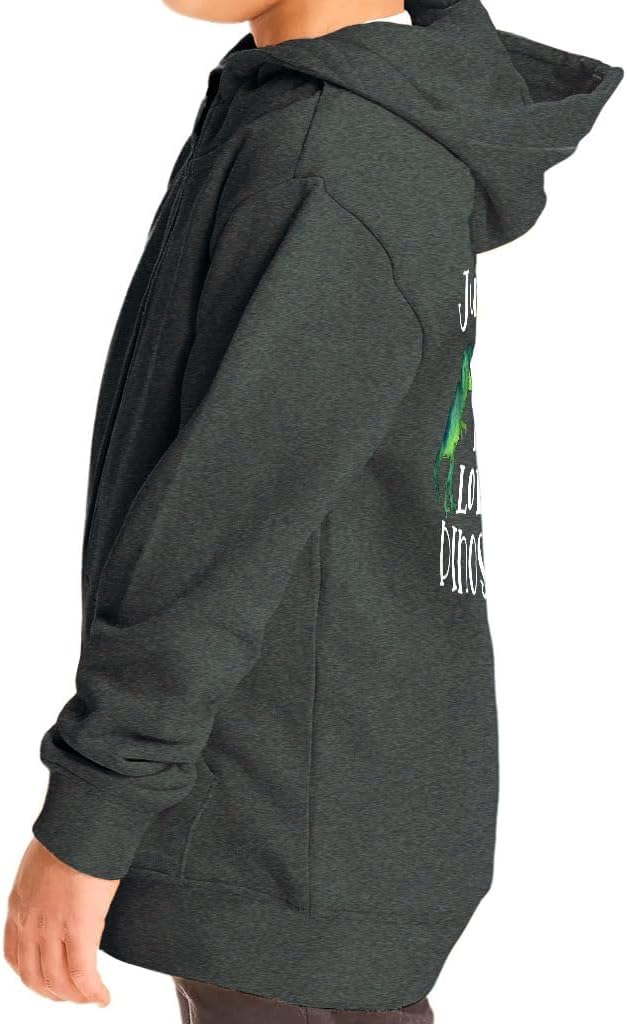 Little Dinosaurs Toddler Full-Zip Hoodie - Gifts for Dinosaur Boy Lovers - Birthday Gift for a Boy
