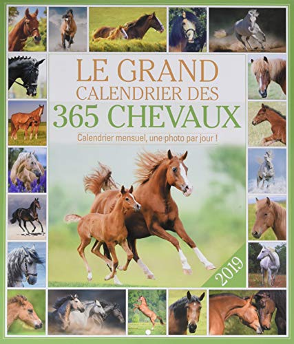 Télécharger Le grand Calendrier des 365 chevaux 2019 Livre eBook France