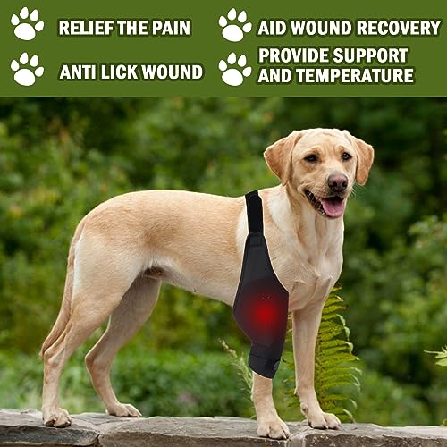Image of Knee Brace Dog Thigh Protection Sleeve Joint Knee Pads Leg Protection Weakness Injury Protection Postoperative Rehabilitation Bracket Fixed Leg Straps, Black
