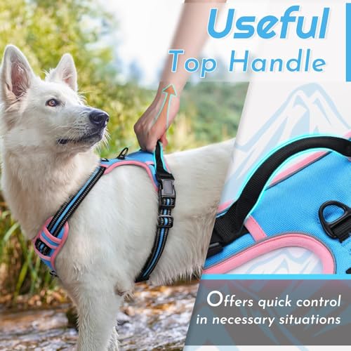 Image of Eagloo Dog Harness for Small Dogs, No Pull Pet Vest with 2 Leash Clips
