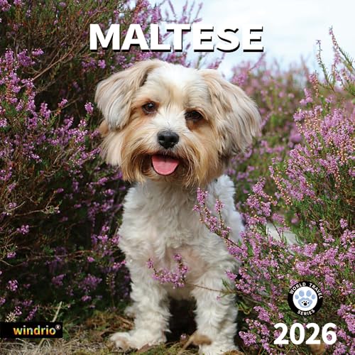 windrio 2026 Wall Calendar, Calendar 2026, July 2025 - December 2026, Wall Calendar Maltese, 12" x 24" Opened,Full Page Months Thick & Sturdy Paper for Calendar Organizing & Planning