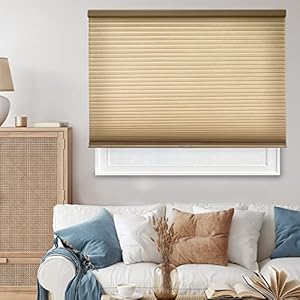 CHICOLOGY Cellular Shades, Window Blinds Cordless,...