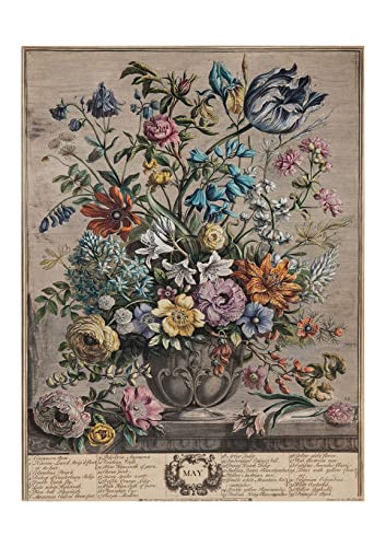 Affiche botanique mai Robert Furber pour passionnés de fleurs
