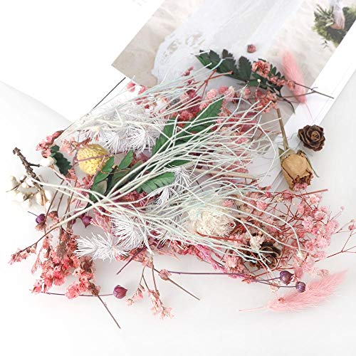 Flores Secas en Caja para Artesanía y Decoración miniatura 5