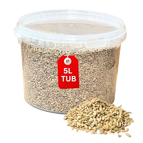 Beewarm Premium Wild Bird Food Sunflowers Hearts for Garden Birds High Energy Wild Food No Mess Bird Feed For All Species (5L Tub Sunflowers Hearts)