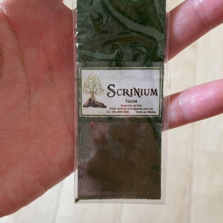 ギンコ・ビローバ 樋口円香 SP サイン BGS10 ブラックラベル PSA10