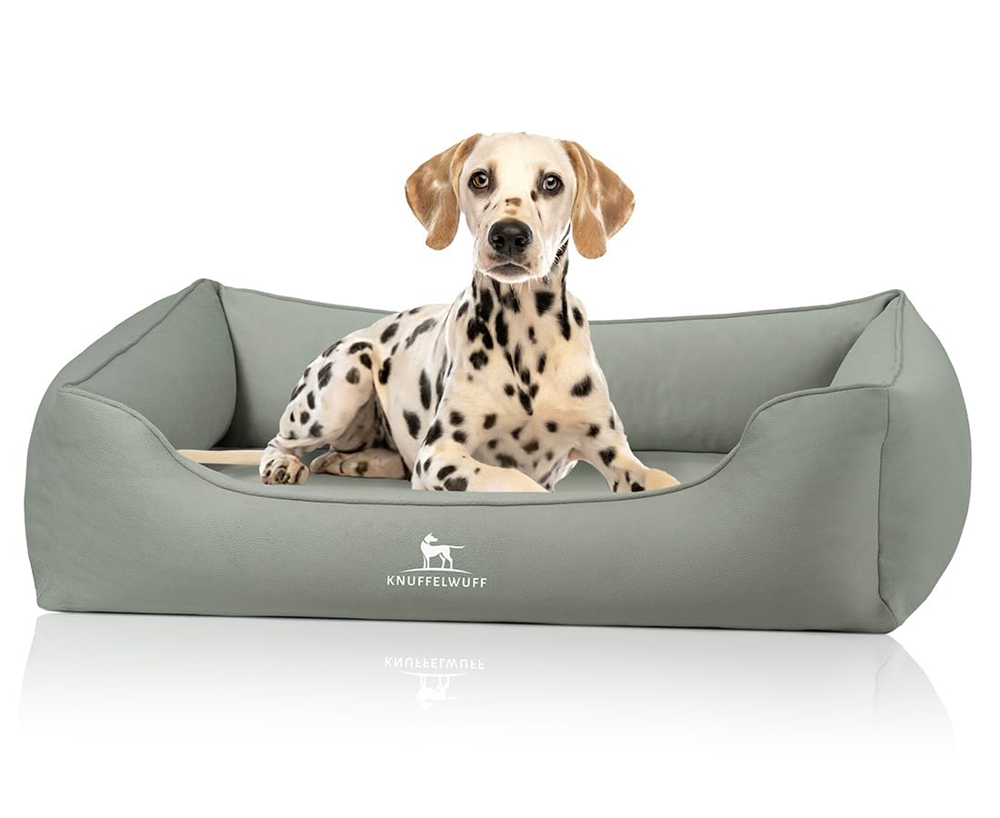 Knuffelwuff Orthopaedic Olive Dog Bed, XXL - Mint | Easy Clean Suede Look | Memory Foam | Water-Repellent Washable | Joint-friendly Robust for Small to Large Dogs
