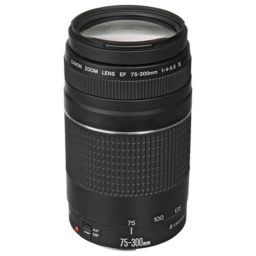 Canon EF 75-300mm Compact Telephoto Zoom Lens