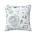 Housse De Coussin Formule Mathématiques Physique Sciences, Taies d'oreiller Décoratives Coussin Canapé pour Canapé Maison Salon Chambre Décoration D'Intérieur, 45x45 cm