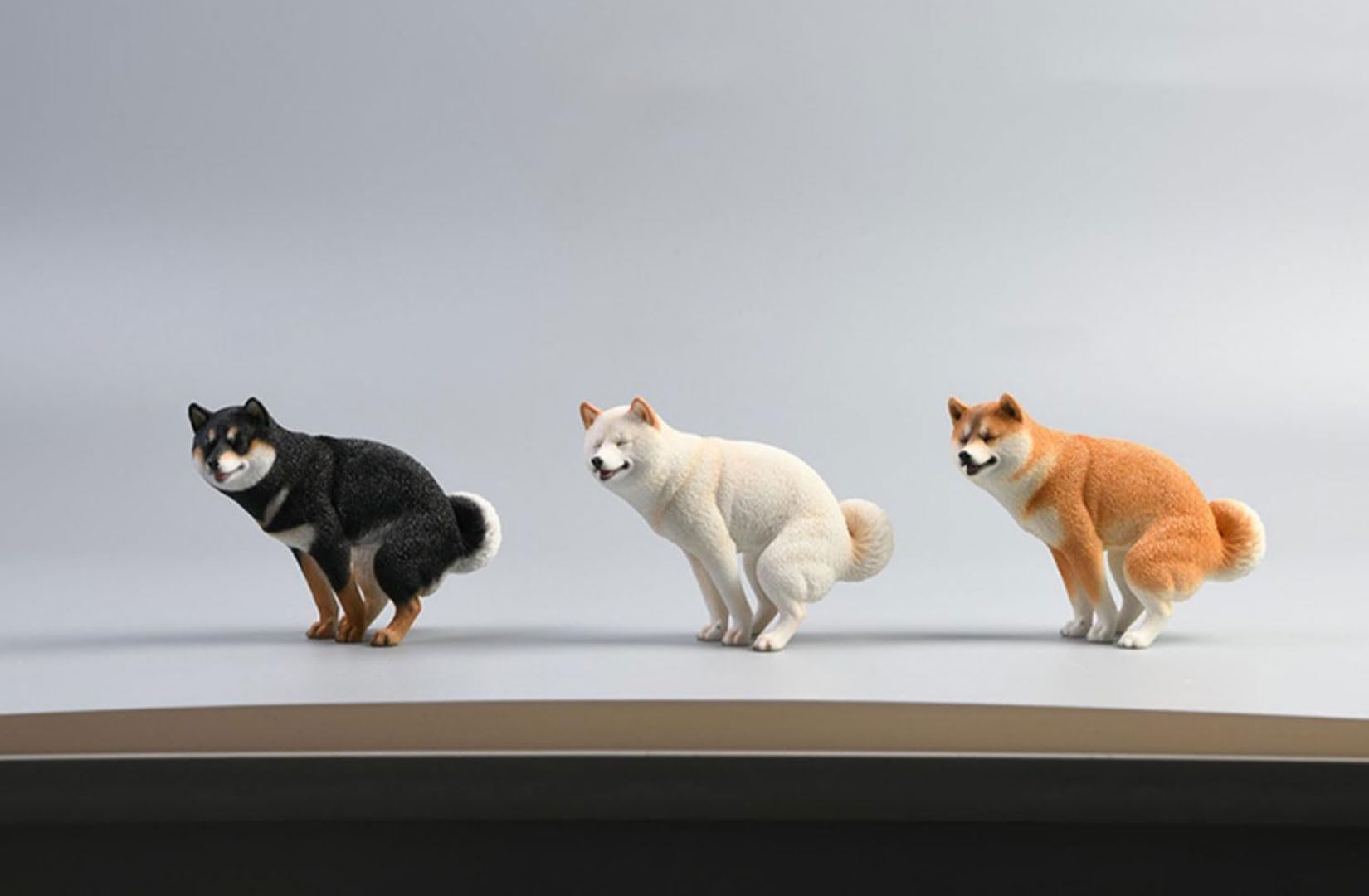 自然動物　フィギュア　狐　猫　犬　1ボックス　202510180134 自然動物 フィギュア 狐 猫 犬 1ボックス 202510180134