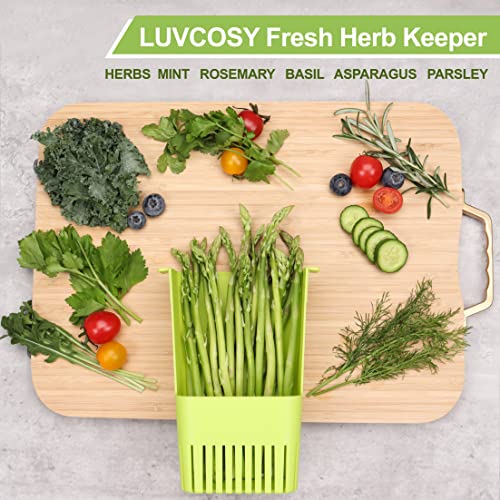 Image of LUVCOSY Fresh Herb Keeper for Refrigerator, Clear BPA-Free Herb Saver, Storage Container for Cilantro, Parsley, Thyme, Mint & Asparagus, Preserver Keeps Fresh Herbs for 3 Times Longer, Green & Orange