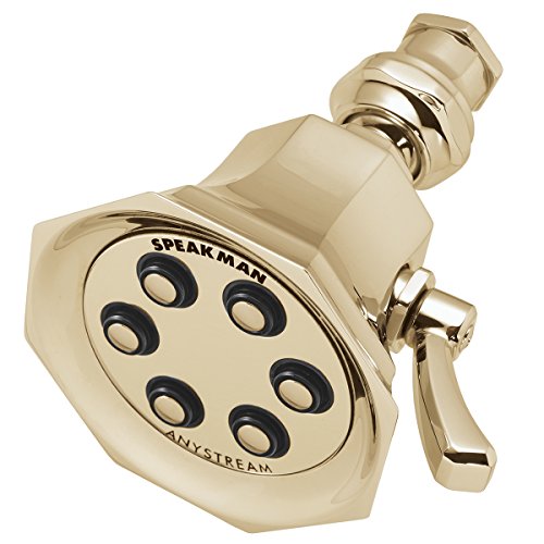 Speakman S-2255-PB Anystream Showerhead, 2.5 GPM, Polished Brass