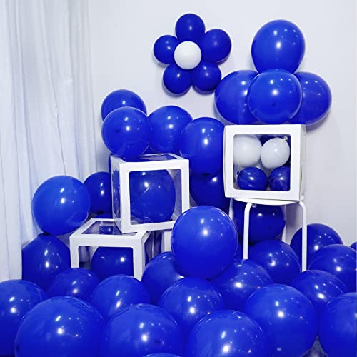 FOTIOMRG Royal Blue Balloons 12 inch, 50 Pack Royal Blue Latex Party Balloons Helium Quality for Birthday Graduation Baby Shower Baseball Nautical Wedding Party Decorations (with Blue Ribbon) - Thumbnail 3