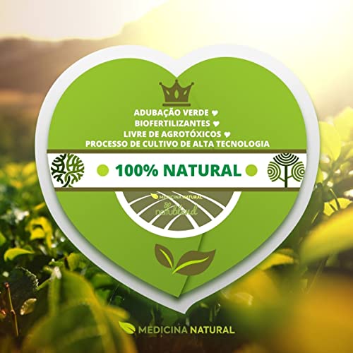 Chá Preto Orgânico - Importado da China - 100g