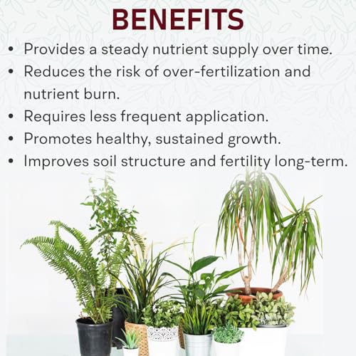 Image of Garden Genie Indoor Plant Fertilizer, 800G | Organic Growth Booster I Suitable For Areca Palm, Jade Plant, Money Plant, Monstera & All Types of Houseplants,Powder