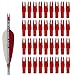Hosolee 36 Pack Arrow Nocks 6.20mm/.244inch Insert Tails for Archery Hunting Target Shooting (Solid Red)