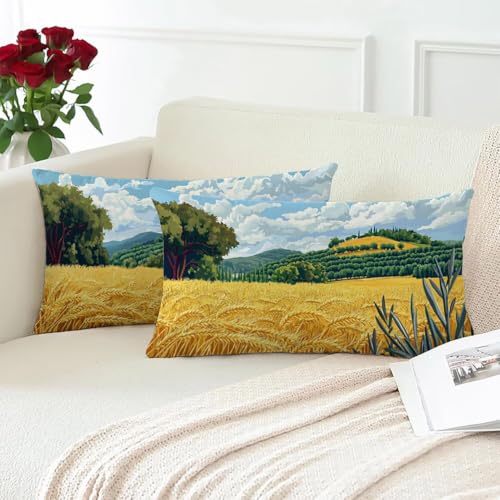 Coussins canape velours lavables lot de 2 housses douces 70x50 cm