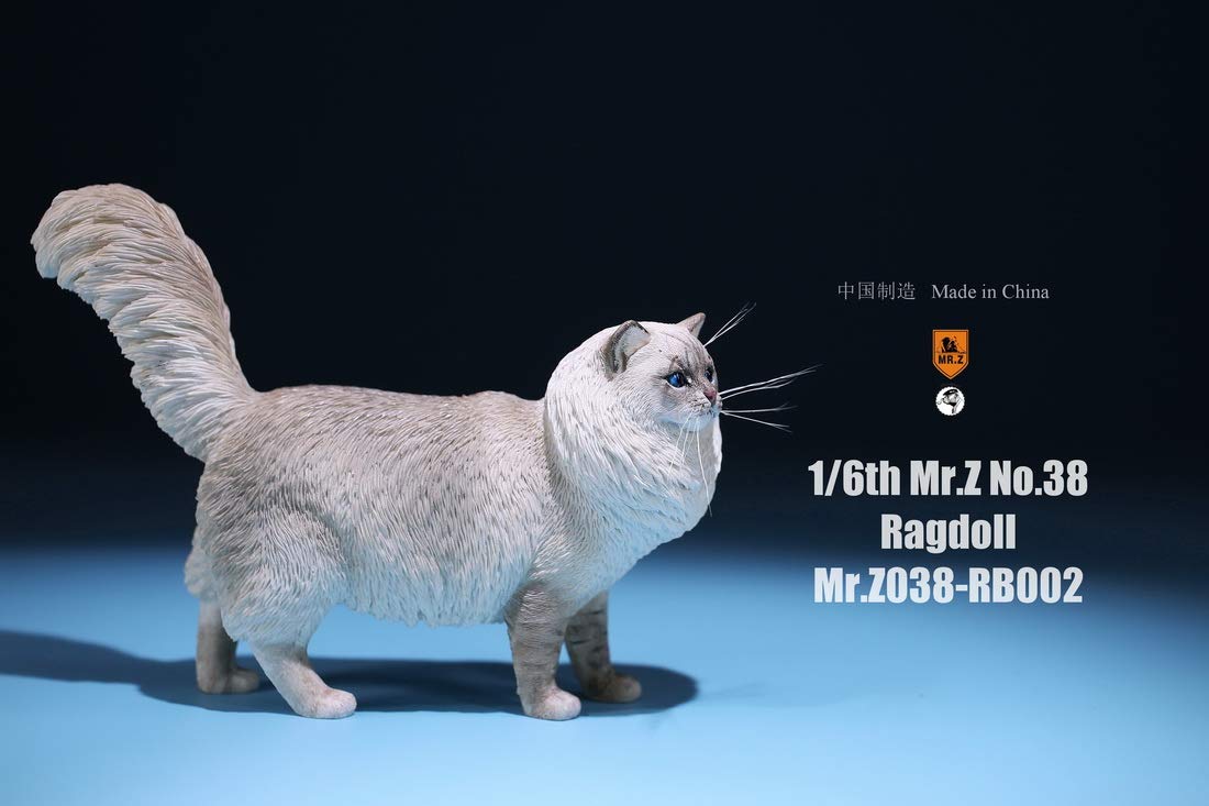 Amazon | Mr.Z 1/6 サイズ ラグドール 猫 可愛い ペット 動物