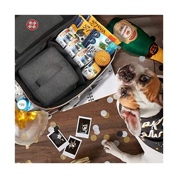 Pmpete-Dog-Travel-Bag-Airline-Approved-Week-AwayOvernight-Accessories-Tote-Organizer-with-Multi-Function-PocketsPet-Travel-Set-for-Dog-and-Cat2-Collapsible-Dog-Travel-BowlsBlack Pet Travel Set for Dog