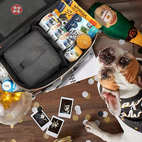 Pet Travel Set for Dog Buy Online