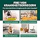 Silberkraft Giardienspray 500 ml, Hygiene-Spray gegen Giardien, Bakterien, Viren & Pilze, Desinfektionsspray für die Umgebung,inkl gratis E-Book, Entfernt Krankheitserreger & Gerüche