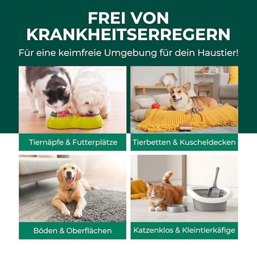 Silberkraft Anti-Giardien-Spray 500ml – Wirksames Desinfektionsmittel gegen Giardien für Hunde & Katzen – Hygienespray für Tierumgebung, Böden & Näpfe – Inkl. Gratis E-Book