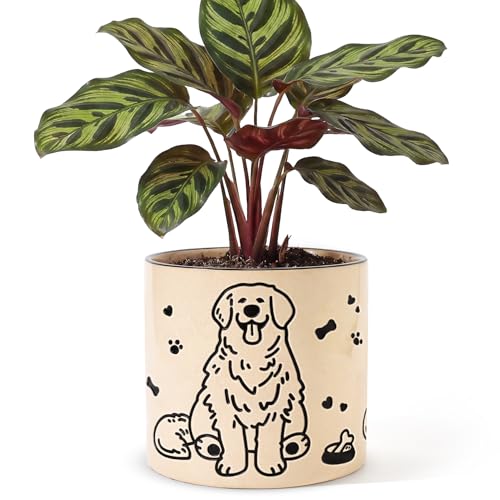 Ceramic Planter 5 Inch Plant Pots Indoor Succulent Plant Pot Cute Flowerpot
