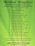 Meridian Metaphors: Psychology of the meridians and major organs (Best Practices in Energy Medicine Series)
