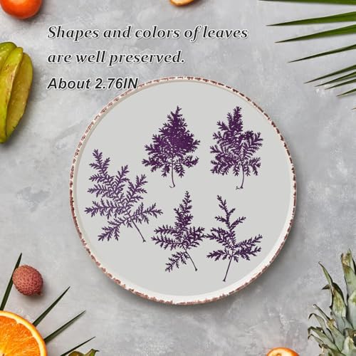Hojas Secas de Artemisia para Manualidades, 42 Piezas miniatura 7